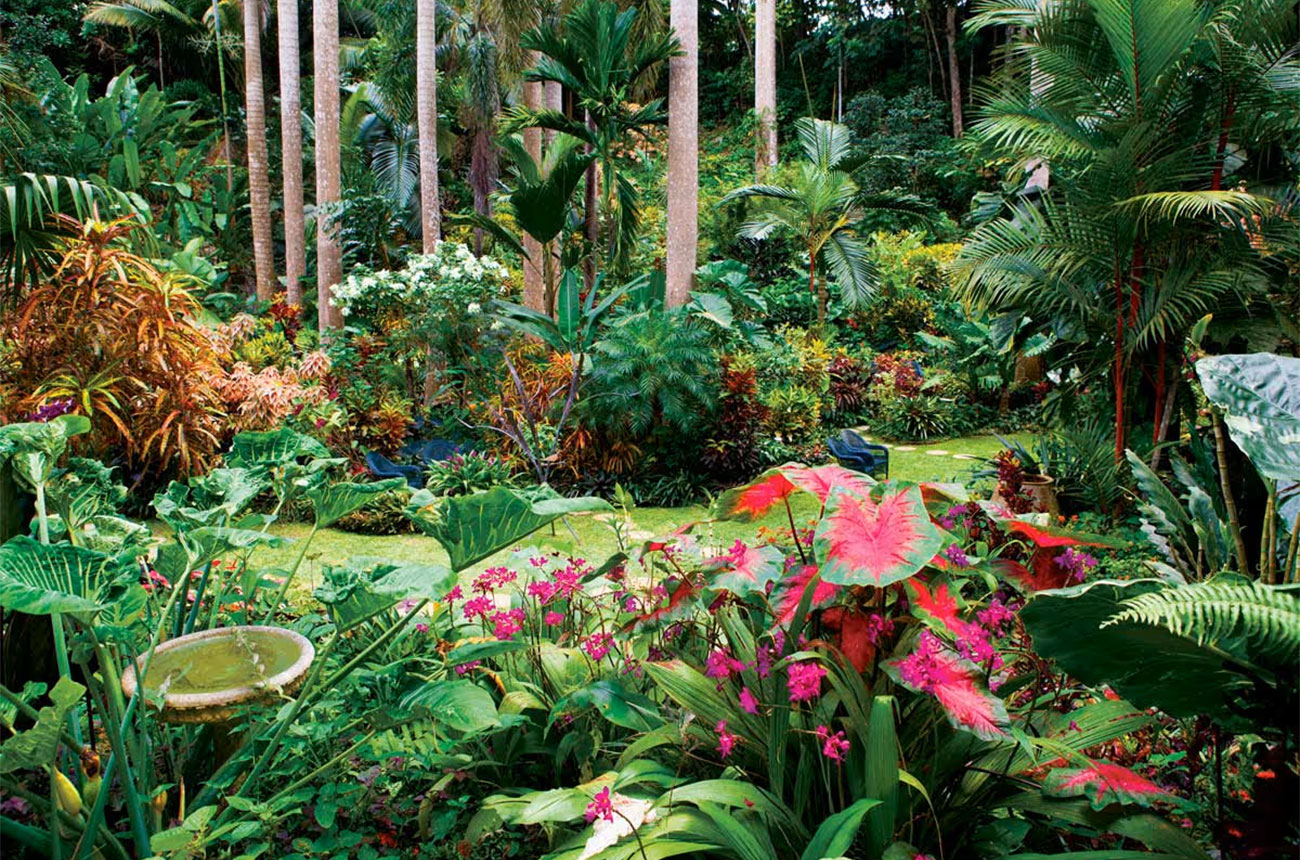 Hunte’s Gardens