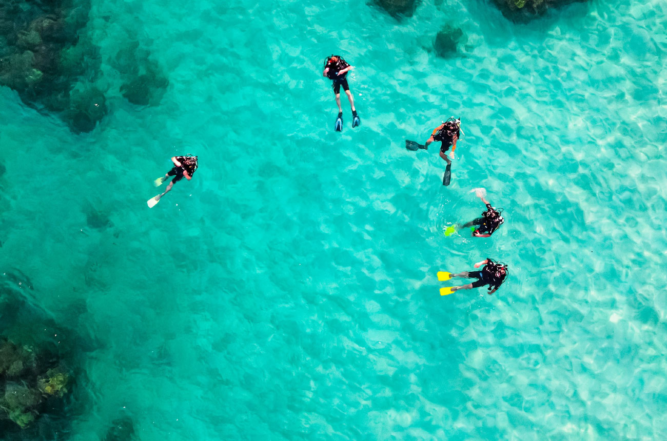 Little Good Harbour - Activities - Scuba