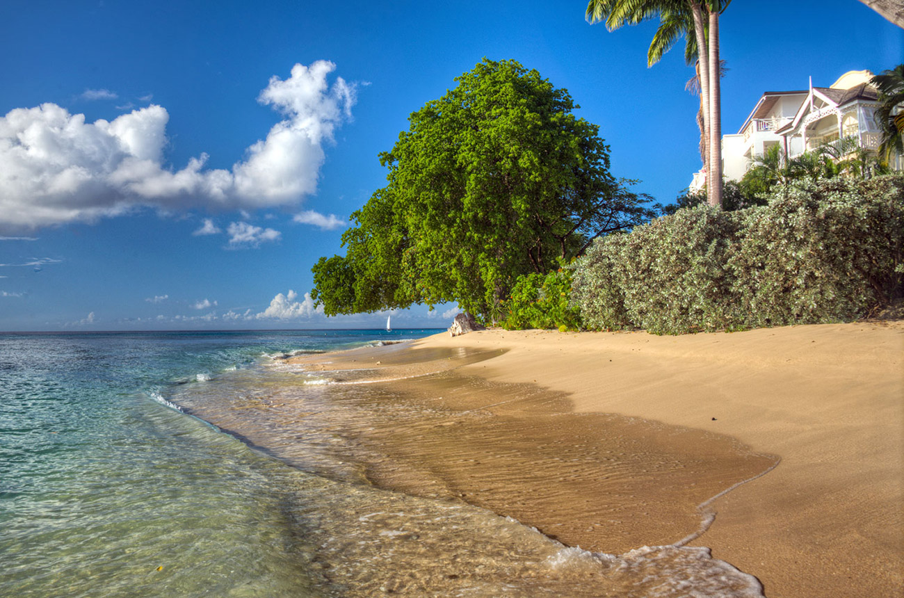 Paynes Bay Beach