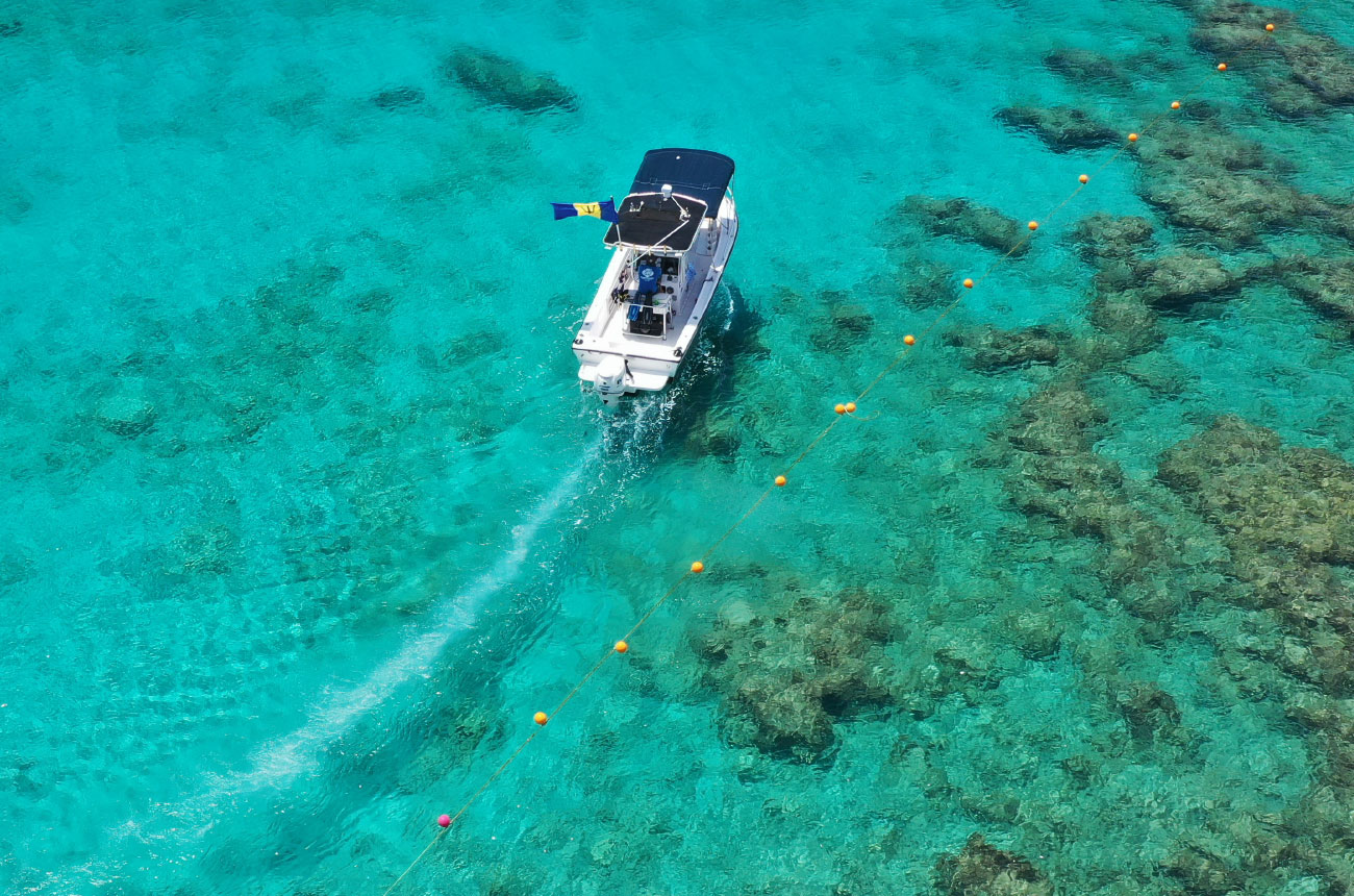 Little Good Harbour - Activities