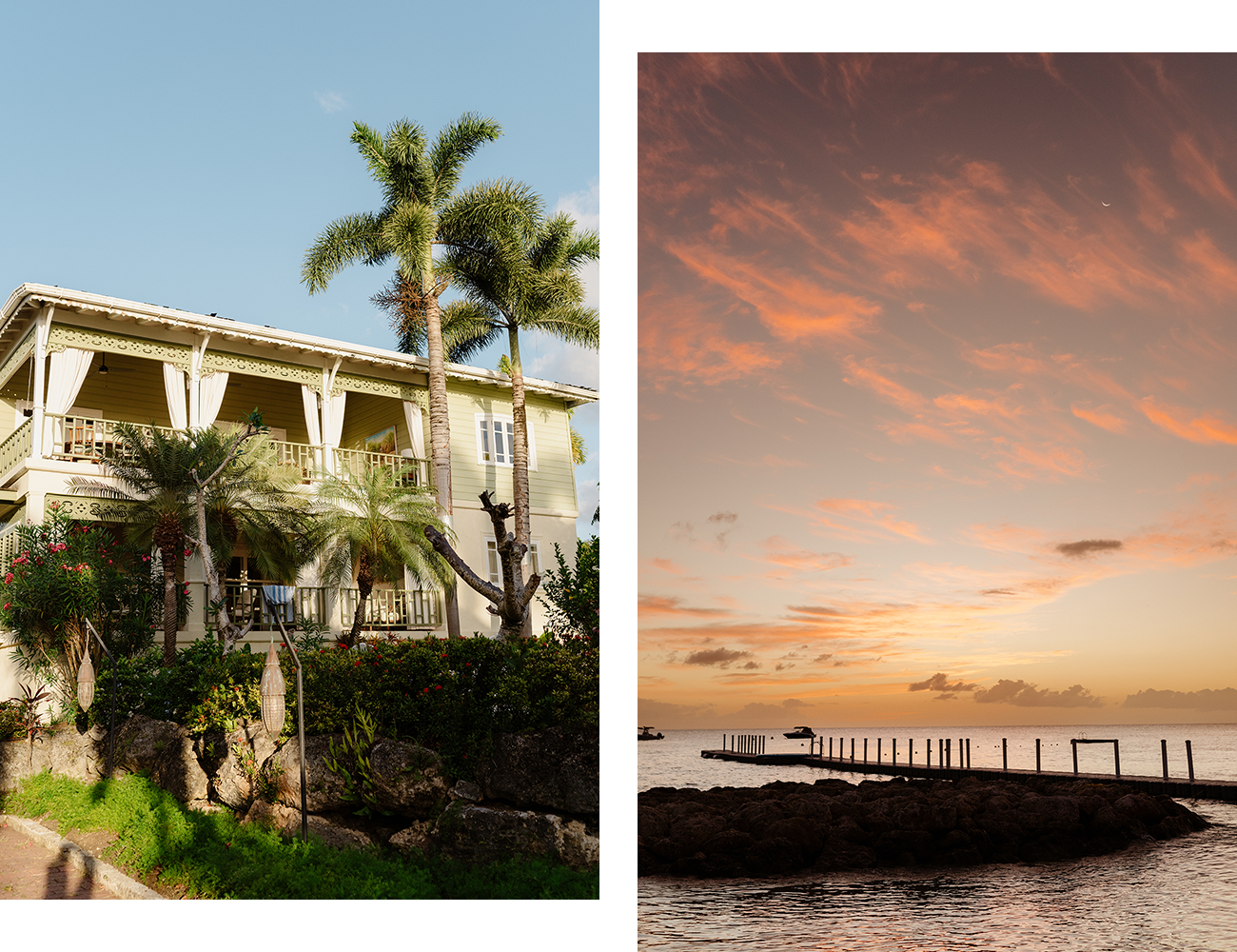 The One Night Experience